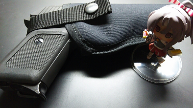P230ZH.png